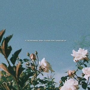 Meet your Posher, Sidney